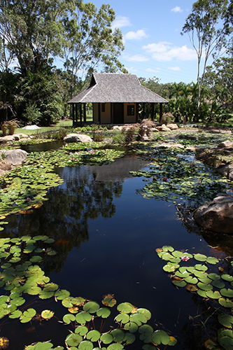 Tondoon Botanic Gardens - Darwin Holiday 8