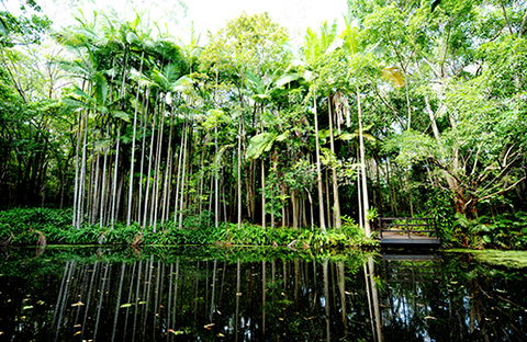 Tondoon Botanic Gardens - Darwin Holiday 11
