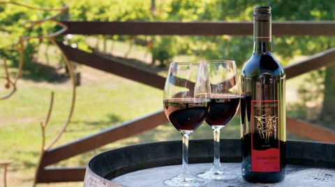 Wild Cattle Creek Estate Winery Restaurant - Darwin Holiday 4