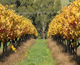 Wild Dog Winery & Restaurant - Darwin Holiday 0