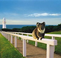 Cape Otway Lightstation - Darwin Holiday