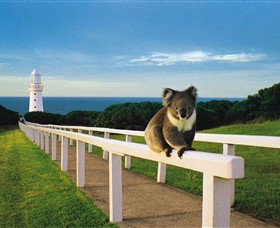 Cape Otway Lightstation - Darwin Holiday 0
