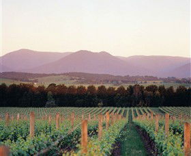 Domaine Chandon - Darwin Holiday 0
