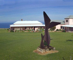 Robert Ulmann Studio - Darwin Holiday 0