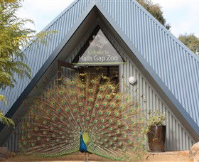 Halls Gap Zoo - Darwin Holiday 0