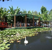 Blue Lotus Water Garden - Darwin Holiday