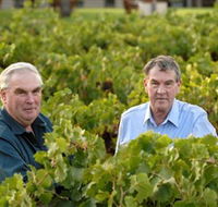 Campbells Wines - Darwin Holiday