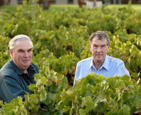 Campbells Wines - Darwin Holiday 0