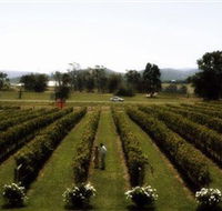 Rochford Wines - Darwin Holiday