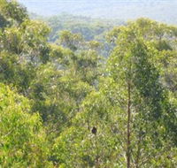 Bunyip State Park - Darwin Holiday