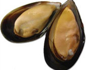 Sea Bounty - Darwin Holiday 0