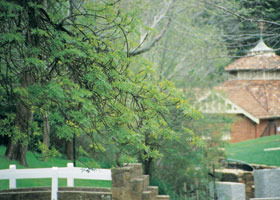 Hepburn Regional Park - Darwin Holiday 0