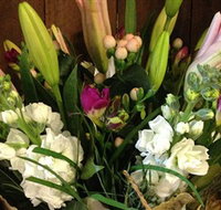 Alpine Blooms Florist Mansfield - Darwin Holiday