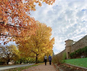 Beechworth Historic Park - Darwin Holiday 0