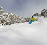 Mt Buller and Mt Stirling Alpine Resort - Darwin Holiday