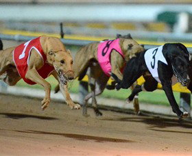 The Beckley Centre - Darwin Holiday 0