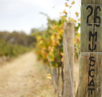 Stanton and Killeen Wines - Darwin Holiday