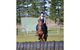 Saddle On Riding School - thumb 9