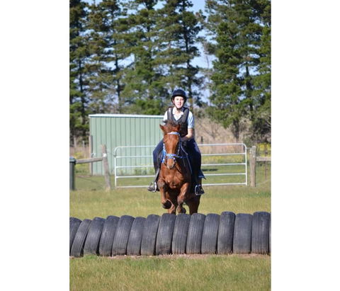 Saddle On Riding School - Darwin Holiday 9