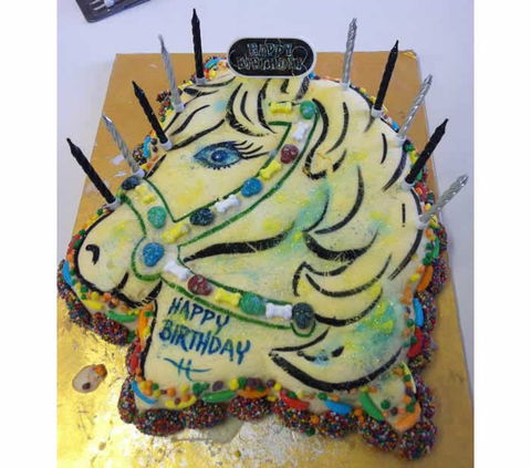 Saddle On Riding School - Darwin Holiday 10