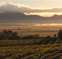 Montara Wines - Darwin Holiday