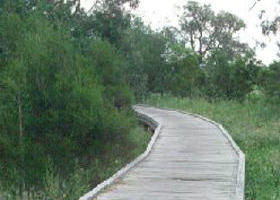 Shepherds Bush - Darwin Holiday 0