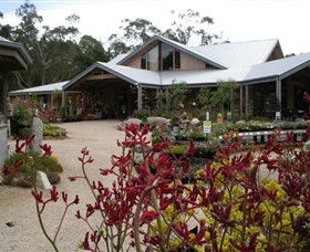 Kuranga Native Nursery And Paperbark Cafe - Darwin Holiday 0