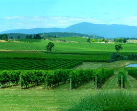 Acacia Ridge Vineyard - Darwin Holiday 0