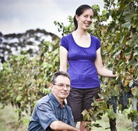 Anderson Winery - Darwin Holiday