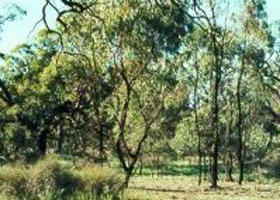 Reedy Lake VIC Darwin Holiday
