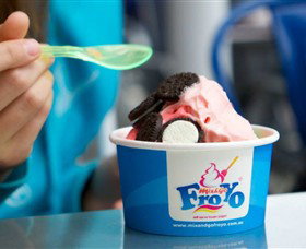 Mix And Go FroYo - Darwin Holiday 0