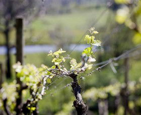 Lindemans Karadoc Winery - Darwin Holiday 0