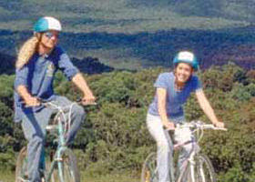 Lysterfield Park - Darwin Holiday 0