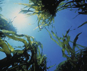 Marengo VIC Darwin Holiday