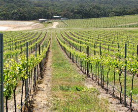 M Chapoutier Australia - Darwin Holiday 0