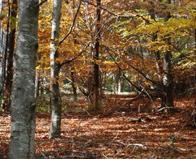 RJ Hamer Arboretum - Darwin Holiday 0