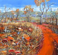 Whitehill Gallery - Darwin Holiday