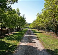 Waybourne Winery - Darwin Holiday