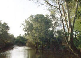 Banksia Park - Darwin Holiday 0