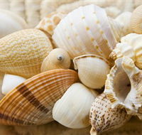 Anglesea Beach Club - Darwin Holiday