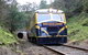 Yarra Valley Railway - thumb 0