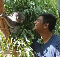Healesville Sanctuary - Darwin Holiday