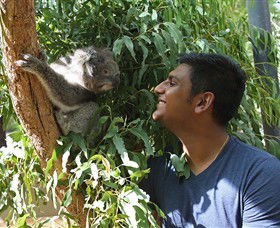 Healesville Sanctuary - Darwin Holiday 0