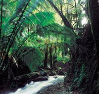 Melba Gully - Darwin Holiday