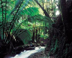 Melba Gully - Darwin Holiday 0