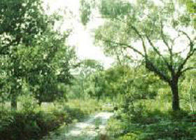 Rosedale VIC Darwin Holiday