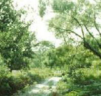Holey Plains State Park - Darwin Holiday
