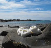 Calma Candles - Darwin Holiday