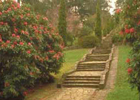 Maroondah Reservoir Park - Darwin Holiday 0