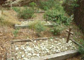 Collins Settlement Historic Site - Darwin Holiday 0